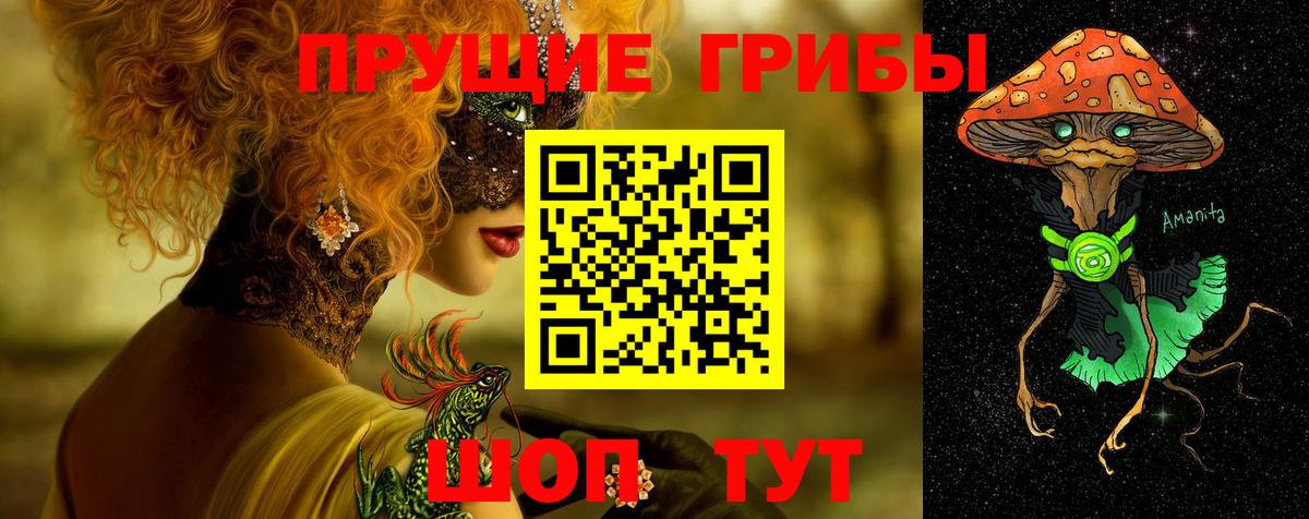 Борзя  Галлюциногенные грибы MAGIC MUSHROOMS  Вход с VPN 