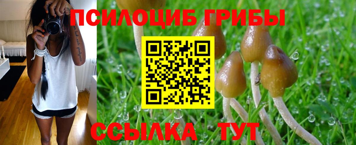 Псилоцибиновые грибы Magic Shrooms Борзя